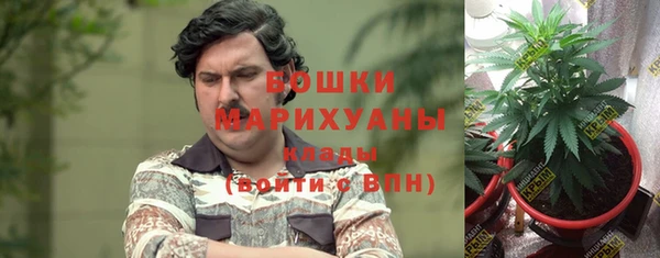 крисы Пестово