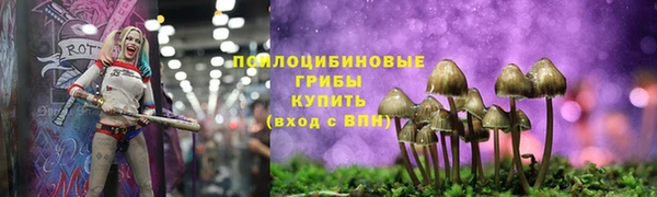 гидропоника Пересвет