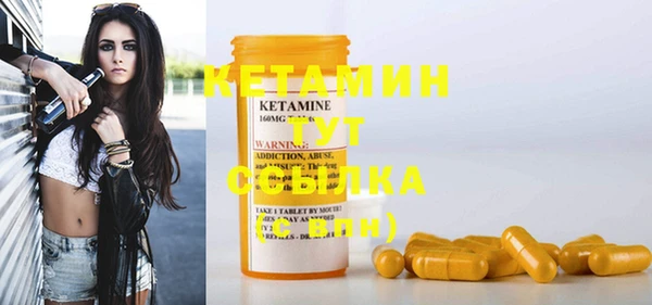 гашик Кирсанов