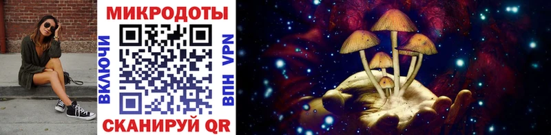 Псилоцибиновые грибы мицелий  Северобайкальск 