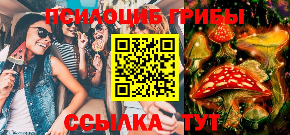 Псилоцибиновые грибы ЛСД  Вход с VPN  Северобайкальск 