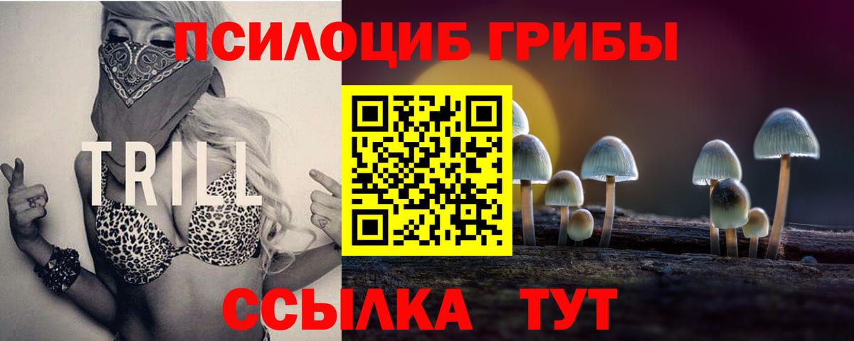 Псилоцибиновые грибы GOLDEN TEACHER Северобайкальск